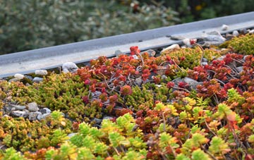 the cost of Betley Common green roof installation