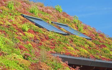 Betley Common living roof systems